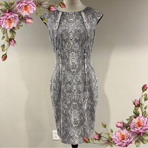 Calvin Klein Gray Snake Print‎ mini Dress size 4